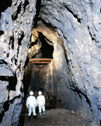 世界遺産 文化遺産オンライン