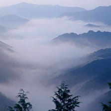 Sacres Sites and Pilgrimage Routes in the Kii Mountain Range